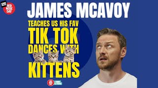 James McAvoy teaches us TikTok dances with kittens [upl. by Wileen700]