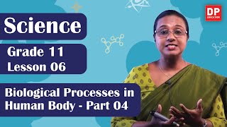 Lesson 06  Biological Processes in Human Body Part 04  Grade 11 Science in English [upl. by Stromberg839]