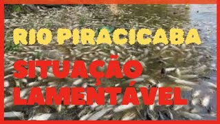 RIO PIRACICABA POLUIÇÃO DEIXAM VÁRIOS PEIXES MORTOS [upl. by Faro80]