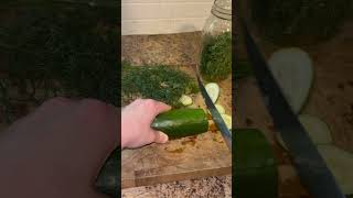 Shorts Dill Pickle Recipe  EASY [upl. by Annawd]