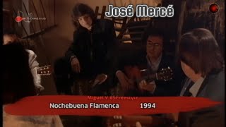 José Mercé  Los Campanilleros de MTorre  Nochebuena Flamenca 1994 [upl. by Glynis219]