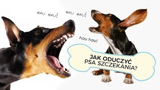 JAK ODUCZYĆ PSA UCIĄŻLIWEGO SZCZEKANIA [upl. by Ytsihc]