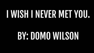 I Wish I Never Met You By Domo Wilson LYRIC VIDEO [upl. by Anoli934]