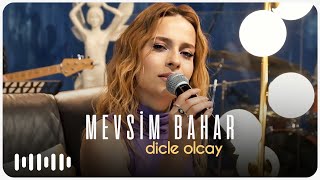 Dicle Olcay  Mevsim Bahar Akustik [upl. by Enelyar847]