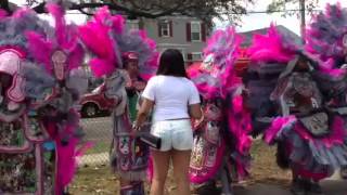 Mardi Gras Indians on Super Sunday [upl. by Edgardo]