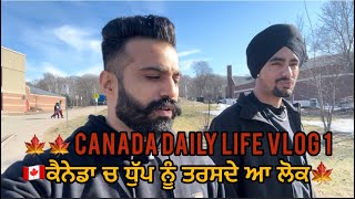 🇨🇦Canada Daily life vlog 1  canada studentlife algomauniversity [upl. by Albric]