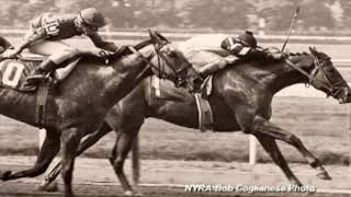 Affirmed and Alydar Rivalry [upl. by Berlinda203]