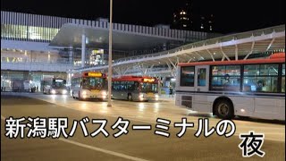 新潟駅バスターミナルの夜 [upl. by Ahsinrad516]