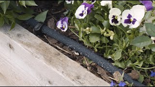 How to Set Up and Use Soaker Hose [upl. by Gustavus]