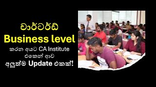 Chartered Accountancy of Sri Lanka  Latest CA Sri Lanka Updates 2024 [upl. by Ettelliw895]