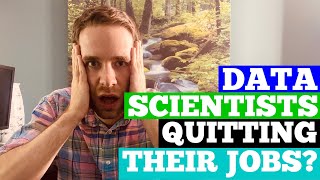 Data Scientists Are Quitting Their Jobs [upl. by Shirberg]