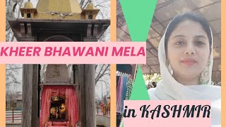 How Kashmiris celebrate Kheer Bhawani Mela in Kashmir [upl. by Meekah]