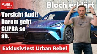 6 Fakten zu CUPRA  Teurer Seat oder echter Sportler Bloch erklärt 184 I auto motor und sport [upl. by Sonaj]