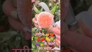 रसीले फलों का भंडार fruts satisfying fruiting fruit fruitcutting friut food friuts plants [upl. by Elolcin997]