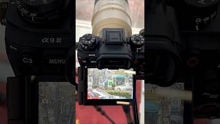 30 FPS Vs 120 FPS Sony Alpha α1 amp Sony Alpha α9III 120 Photos Capture Per 1 Seconds [upl. by Agatha639]