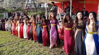 Kurdish Dance  Baile kurdo [upl. by Nosylla]