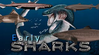 Prehistoric SHARKS and those from the Abyss [upl. by Adnot]