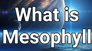 What is Mesophyll UrduEnglish [upl. by Ariday]