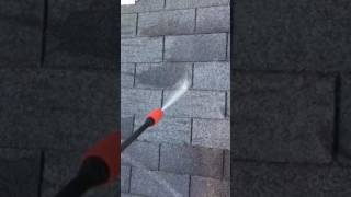 How to make best Roof mold Moss detergent to take off black stains [upl. by Kimura765]