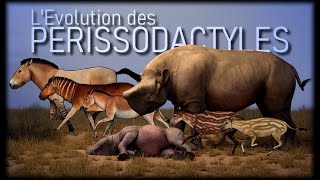 Evolution des chevaux et rhinocéros [upl. by Enej662]