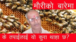 Mauri Palan  मौरी पालन  Bee farming  पुरा जानकारी लिएर मात्र शुरु गरौ मौरी पालन [upl. by Lotson]