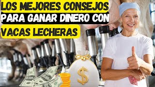 Los Mejores Consejos para Ganar Dinero con Vacas Lecheras [upl. by Derriey]