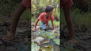 Survival Skills SIMPLE and Useful With Big Fish Funny Contentbushcraftcampingoutdoors [upl. by Aneelas546]