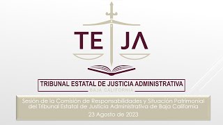 Sesión de la Comisión de Responsabilidades y Situación Patrimonial 23 Agosto 2023 [upl. by Bush]