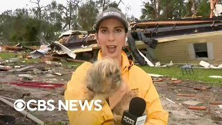 Dog found in debris after Hurricane Milton swept through Florida community [upl. by Cristian]