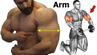 14 Best Workout To Get Big And Perfect Arms [upl. by Zoeller]