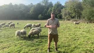 Tom Davis from Mudchute Park and Farm in London [upl. by Glogau]