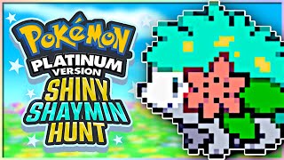 Can I Catch SHINY Shaymin in Pokemon Platinum [upl. by Riker504]