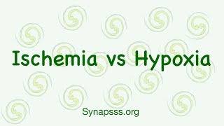 Hypoxia vs Ischemia differences definitions [upl. by Enirbas]