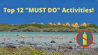 Top 12 quotMUST DOquot Activities on Bonaire  Other Than Scuba Diving [upl. by Angi95]