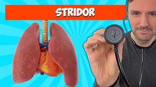 Stridor Lung Sounds For Beginners 🔥🔥🔥 lungsounds [upl. by Ecnerrat]