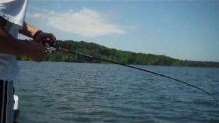 Fishing on Greers Ferry Lake [upl. by Varrian]