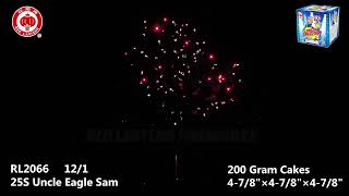 RL2066 Uncle Eagle Sam [upl. by Lyrej427]