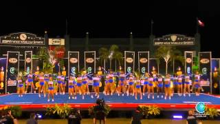 The Stingray All Stars  Orange 2014 Senior Large Finals [upl. by Nirmak540]