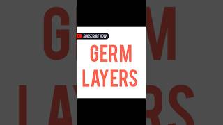 GERM LAYERS [upl. by Cynde]