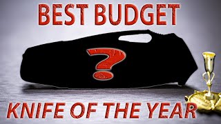 THE BEST BUDGET KNIFE OF 2023  Knife Of The Year Awards [upl. by Fesuoy214]