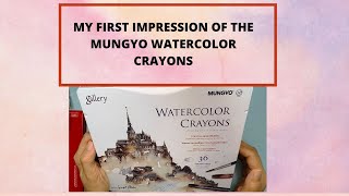 MY FIRST IMPRESSION OF THE MUNGYO WATERCOLOR CRAYONS [upl. by Enahsed158]