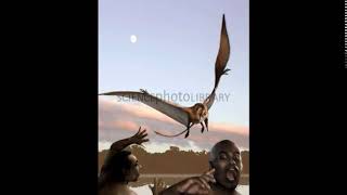 Pterosaur  pterodactyl sound effect [upl. by Ardnossak]