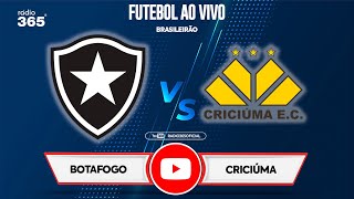 AO VIVO Botafogo x Criciúma 30ª Rodada do Brasileirão 2024 [upl. by Sandon]