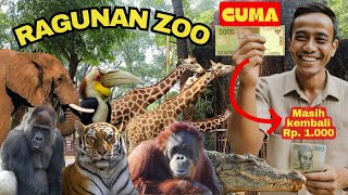 Murah Banget  Wisata Kebun Binatang Ragunan  Ragunan Zoo 2023  Taman Margasatwa Ragunan [upl. by Cone]