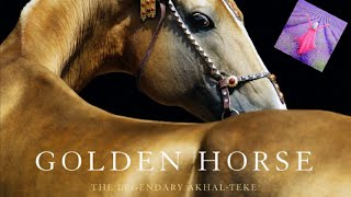 Golden Horse Turkmenistan [upl. by Relyks]