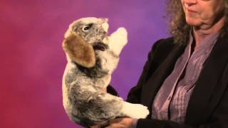 Folkmanis® Holland Lop Rabbit Puppet Demo [upl. by Livesay]