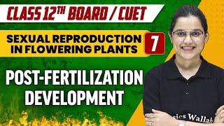 Sexual Reproduction in Flowering Plants 07  PostFertilization Development  Class 12thCUET [upl. by Ahsita]