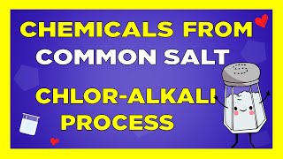 Chemicals from Common Salt Class 10 Electrolysis of NaCl  ChlorAlkali process Caustic soda VID17 [upl. by Fernandez735]