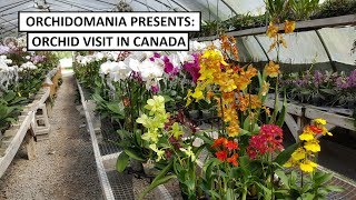 Orchidomania Presents Canadian Orchid Visit [upl. by Atteloc]