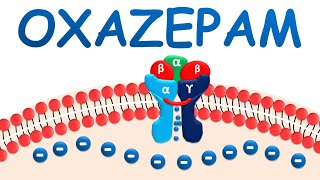 Oxazepam  Mechanism precautions side effects amp uses [upl. by Liryc726]